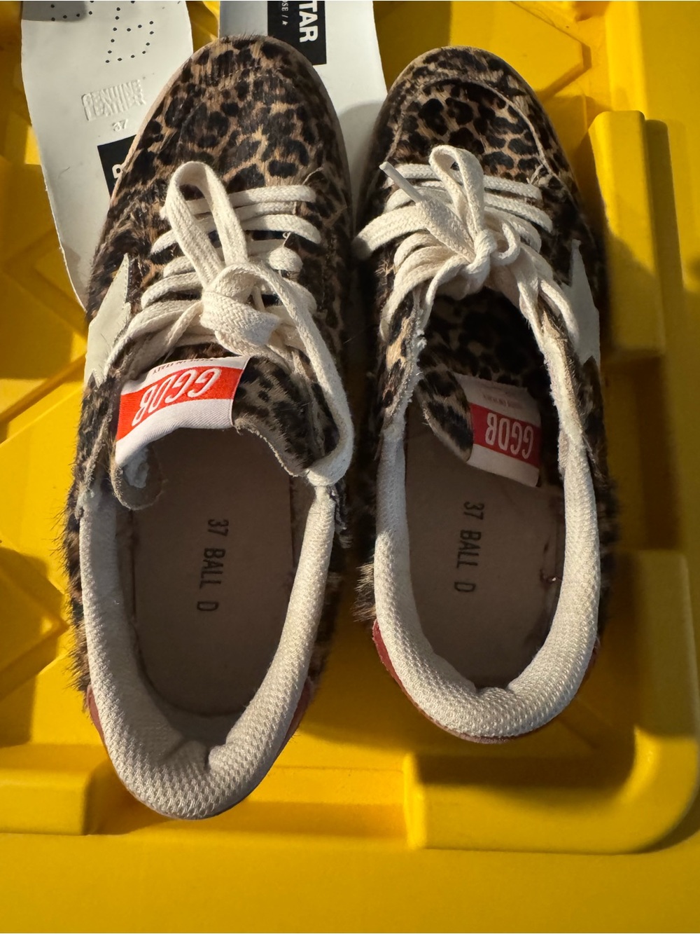 Golden Goose Ball Star Genuine Calf Hair Sneaker (Women) - Picture 16 of 16